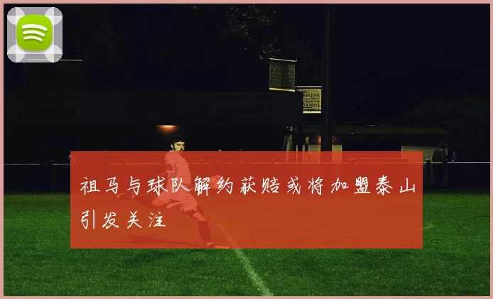 祖马与球队解约获赔或将加盟泰山引发关注